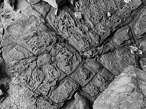 規則的な亀裂の入った地面の写真1