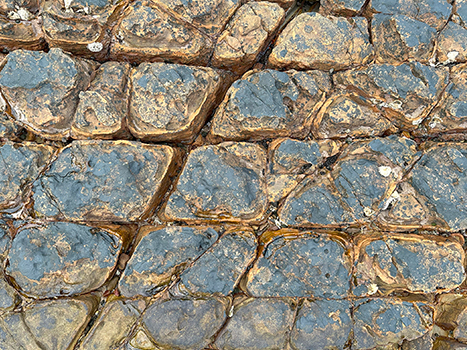 規則的な亀裂の入った地面の写真3