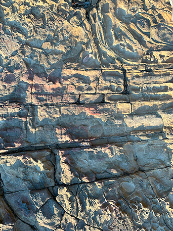 規則的な亀裂の入った岩の写真